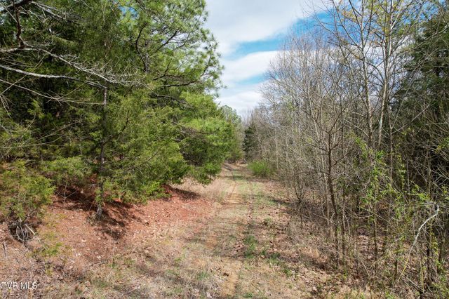 480 Obe Kirk Loop, Mohawk, TN 37810