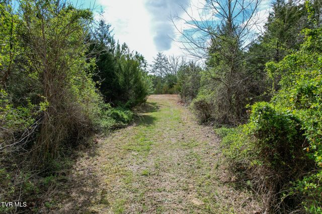 480 Obe Kirk Loop, Mohawk, TN 37810