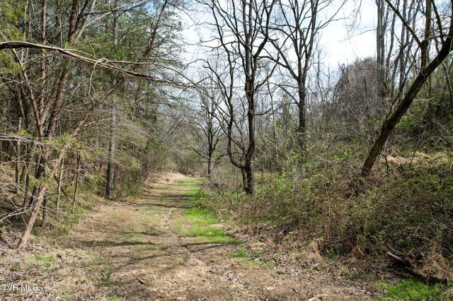 480 Obe Kirk Loop, Mohawk, TN 37810