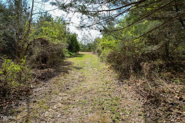 480 Obe Kirk Loop, Mohawk, TN 37810