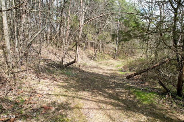 480 Obe Kirk Loop, Mohawk, TN 37810