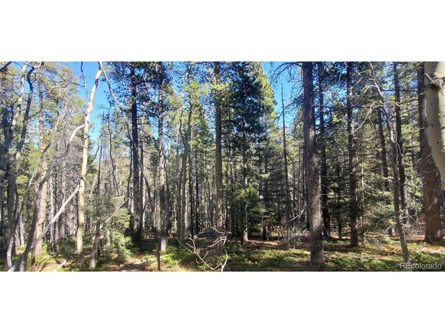 3023 Bolwell Ln, Fort Garland, CO 81133