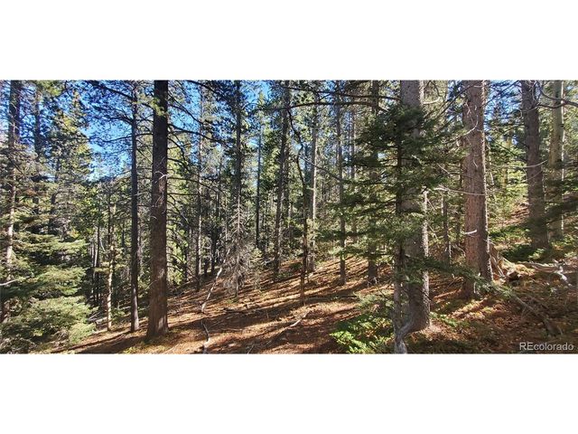 3023 Bolwell Ln, Fort Garland, CO 81133