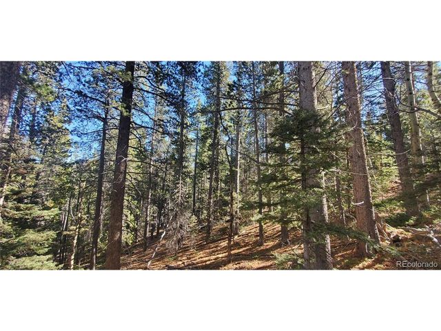 3023 Bolwell Ln, Fort Garland, CO 81133