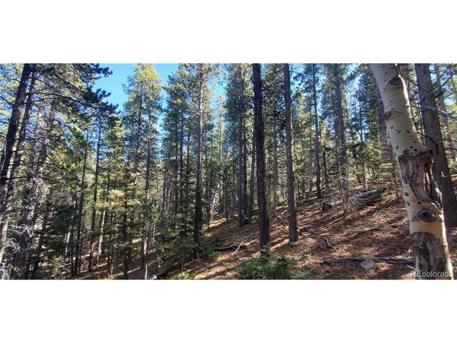 3023 Bolwell Ln, Fort Garland, CO 81133