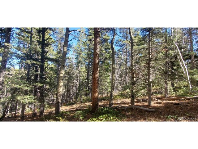 3023 Bolwell Ln, Fort Garland, CO 81133