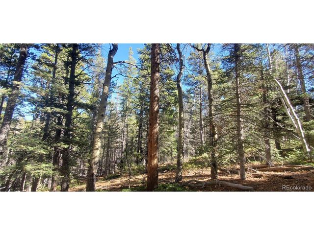 3023 Bolwell Ln, Fort Garland, CO 81133