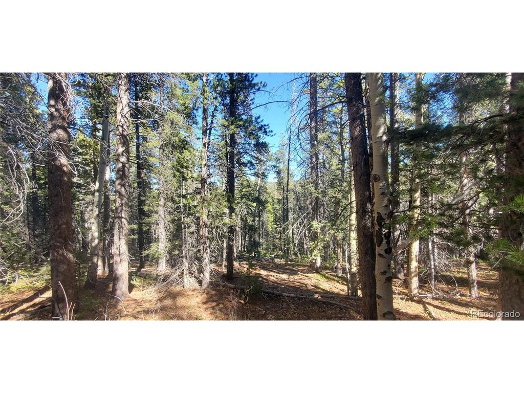 3023 Bolwell Ln, Fort Garland, CO 81133