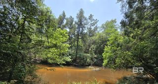 0 Goat Cooper Road, Robertsdale, AL 36567