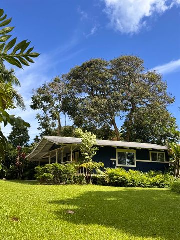 91 Wailua Rd, Hana, HI 96713