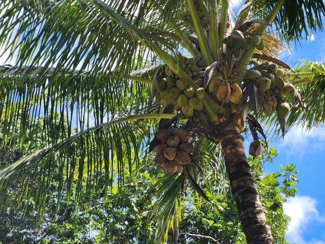 91 Wailua Rd, Hana, HI 96713