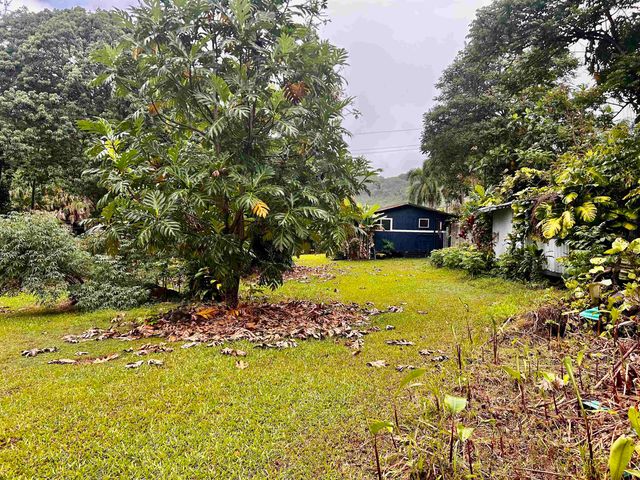 91 Wailua Rd, Hana, HI 96713