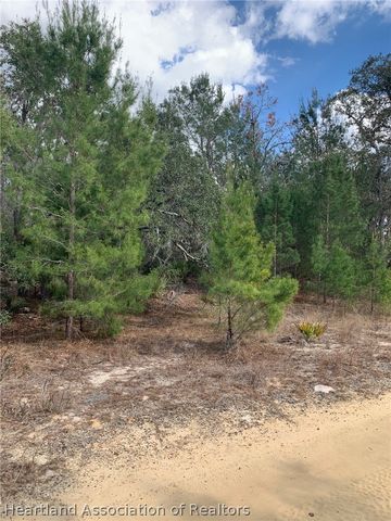 2242 N Barclay Road, Avon Park, FL 33825