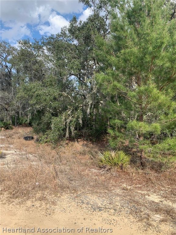 2242 N Barclay Road, Avon Park, FL 33825