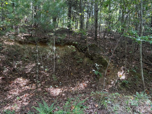 000 Bobcat Road, Waynesville, NC 28785