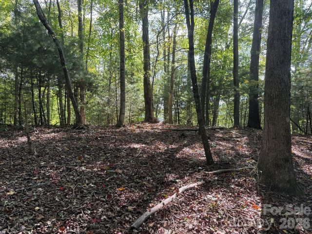 000 Bobcat Road, Waynesville, NC 28785