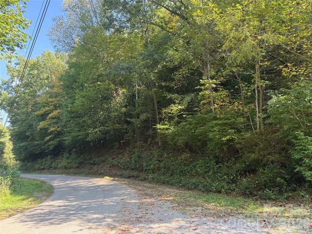 000 Bobcat Road, Waynesville, NC 28785