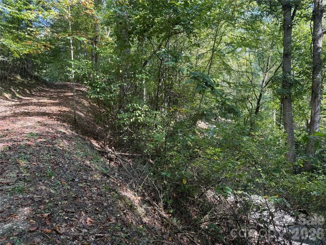 000 Bobcat Road, Waynesville, NC 28785
