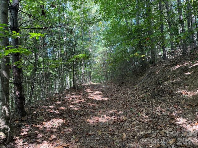 000 Bobcat Road, Waynesville, NC 28785