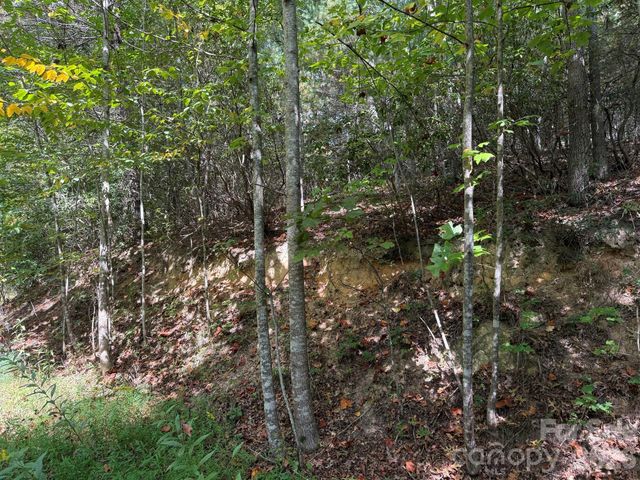 000 Bobcat Road, Waynesville, NC 28785
