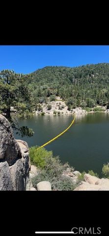 1820 Golden Rod, Big Bear City, CA 92314