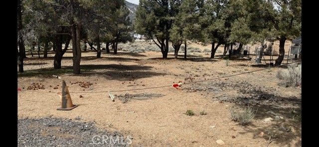 1820 Golden Rod, Big Bear City, CA 92314