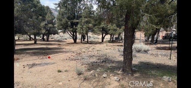 1820 Golden Rod, Big Bear City, CA 92314