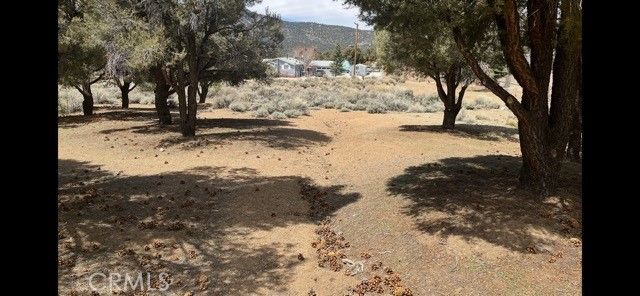 1820 Golden Rod, Big Bear City, CA 92314