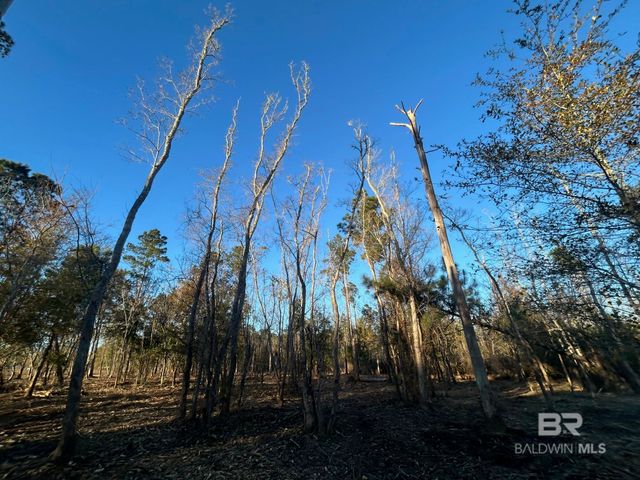 0 County Road 32, Summerdale, AL 36580