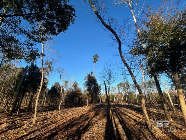 0 County Road 32, Summerdale, AL 36580