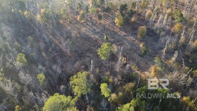 0 County Road 32, Summerdale, AL 36580