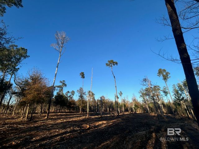 0 County Road 32, Summerdale, AL 36580