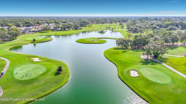 2077 Woodcutter Court, Spring Hill, FL 34606