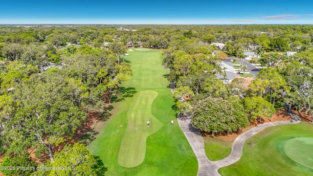 2077 Woodcutter Court, Spring Hill, FL 34606