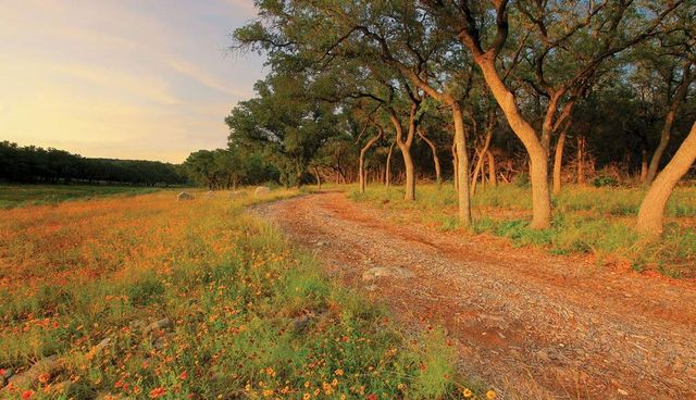7732 Tessera PKWY, Lago Vista, TX 78645