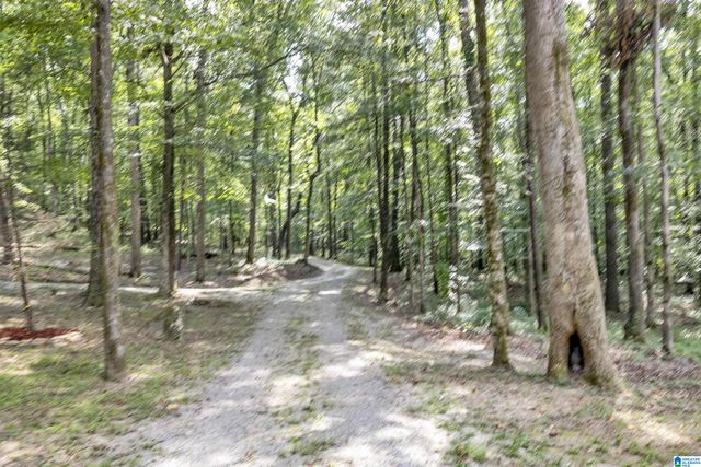 445 BERRINGTON LANE, Springville, AL 35146