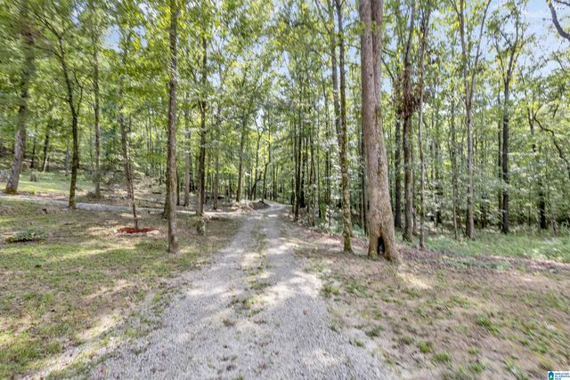 445 BERRINGTON LANE, Springville, AL 35146