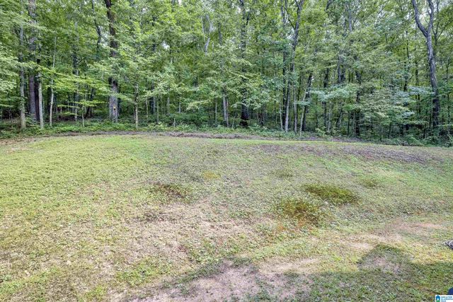 445 BERRINGTON LANE, Springville, AL 35146