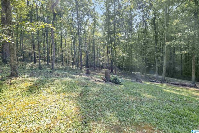 445 BERRINGTON LANE, Springville, AL 35146