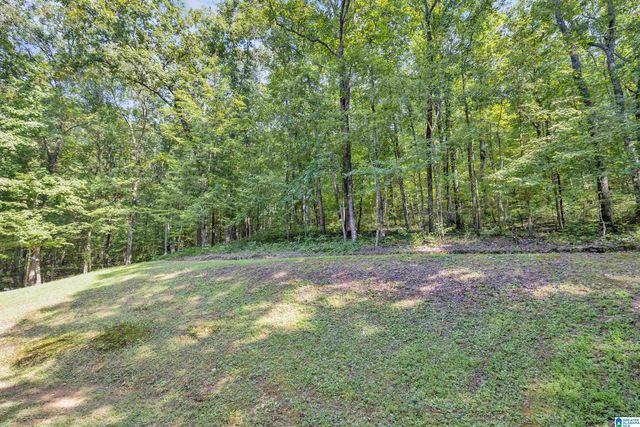 445 BERRINGTON LANE, Springville, AL 35146