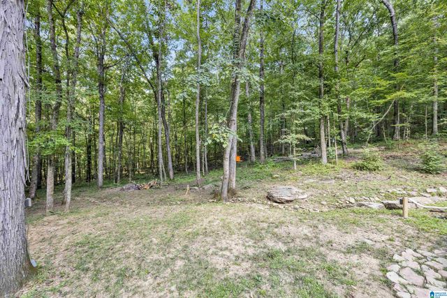 445 BERRINGTON LANE, Springville, AL 35146