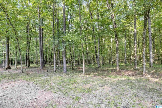 445 BERRINGTON LANE, Springville, AL 35146