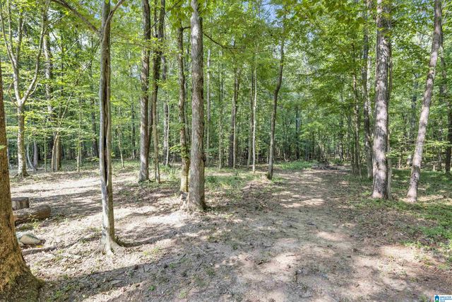 445 BERRINGTON LANE, Springville, AL 35146