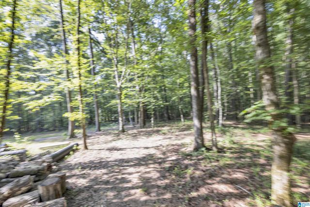 445 BERRINGTON LANE, Springville, AL 35146