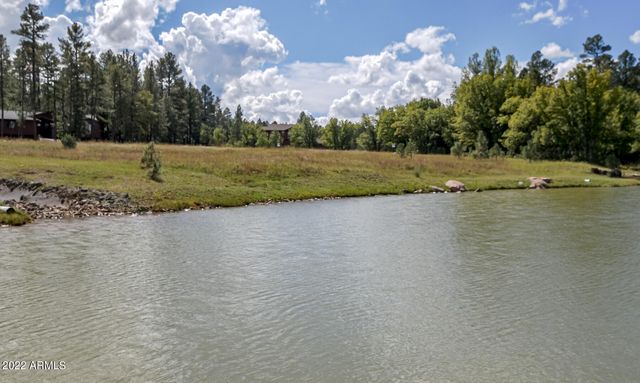 1761 S Alder Leaf Lane, Show Low, AZ 85901