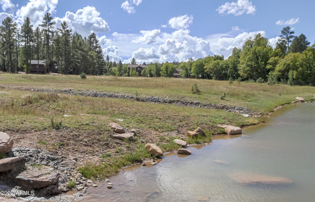 Image 48 of property listing at 1761 S Alder Leaf Lane, Show Low, AZ 85901