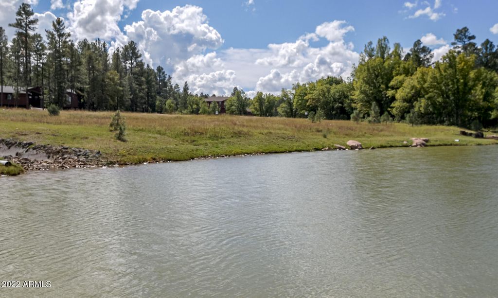 Image 99 of property listing at 1761 S Alder Leaf Lane, Show Low, AZ 85901