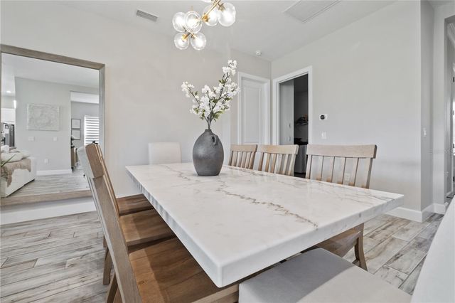 11414 JUGLANS DRIVE, Odessa, FL 33556