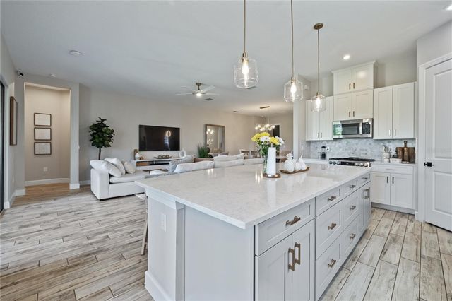 11414 JUGLANS DRIVE, Odessa, FL 33556