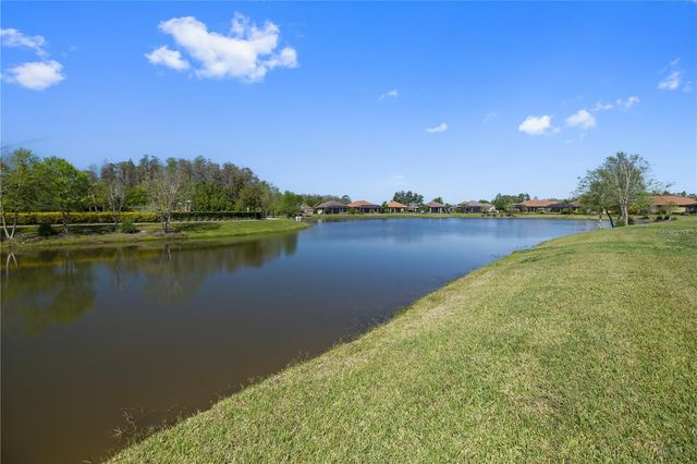 11414 JUGLANS DRIVE, Odessa, FL 33556